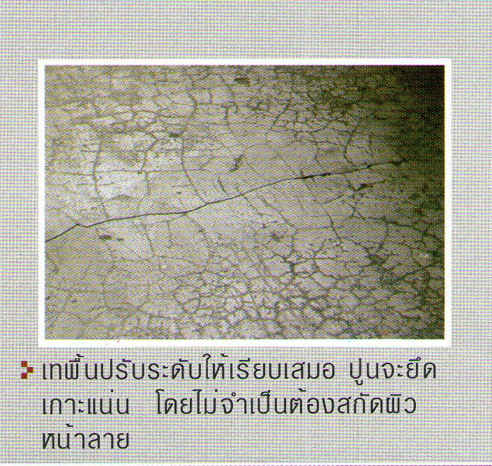 ปูนเทกันซึม รูปที่ 5