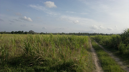 ขายที่ดินเปล่า โฉนดที่ดิน 234 ไร่เศษ อ.เมืองประจวบฯ ติดการไฟฟ้าประจวบฯ รูปที่ 1