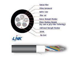 Fiber Optic LAN Power รูปที่ 1