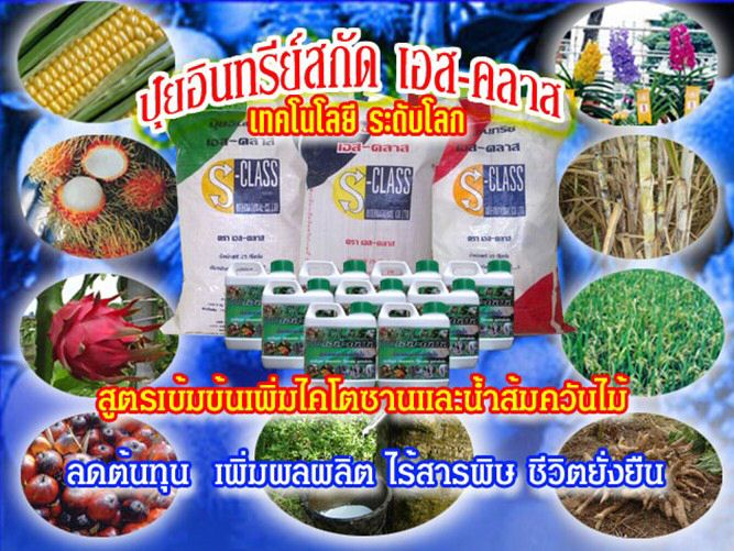 ปุ๋ยเอสคลาส,ปุ๋ยยางพารา,ปุ๋ยนาข้าว,ปุ๋ยผลไม้,ปุ๋ยมันสำปะหลัง,ปุ๋ยข้าวโพด,ปุ๋ยปาล์ม,ปุ๋ยอ้อย,ปุ๋ยรองพื้น, รูปที่ 2