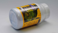 กิงโกะ บิโลบา Ginkgo Biloba รูปที่ 3