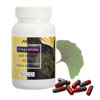 กิงโกะ บิโลบา Ginkgo Biloba รูปที่ 4