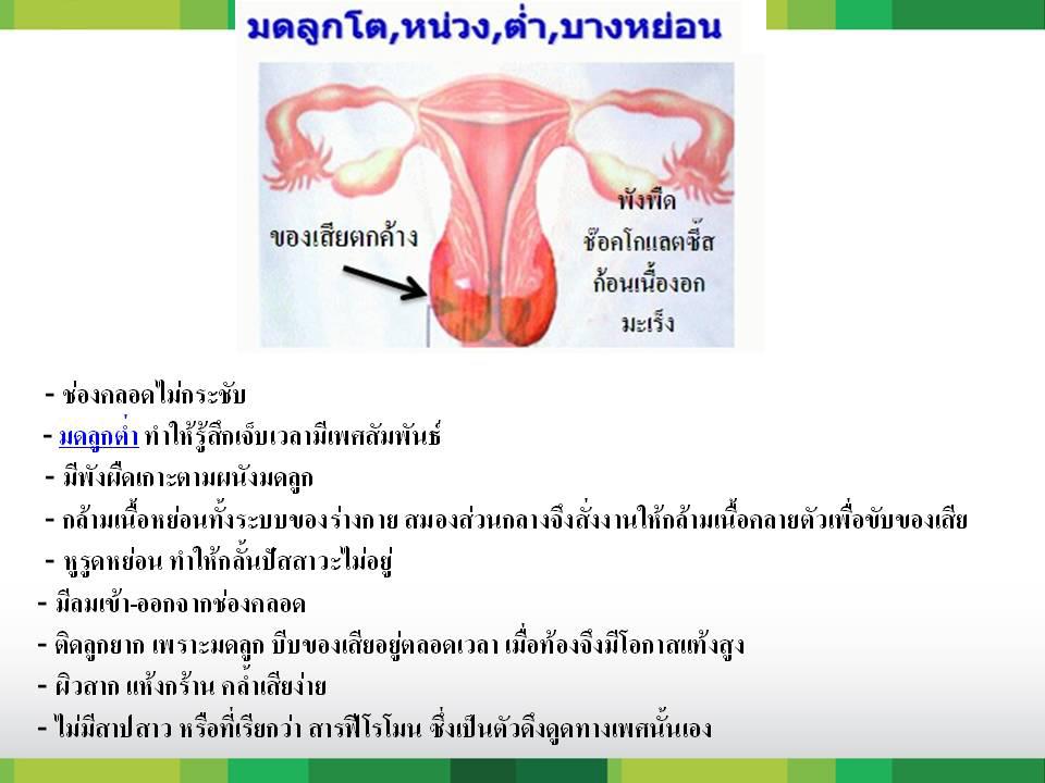 HYLI (ไฮลี่) - ผลิตภัณฑ์เสริมอาหาร สำหรับผู้หญิง รูปที่ 3