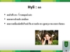 รูปย่อ HYLI (ไฮลี่) - ผลิตภัณฑ์เสริมอาหาร สำหรับผู้หญิง รูปที่6