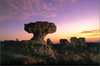 รูปย่อ โปรแกรมเที่ยว กรุงเทพฯ – อุทยานแห่งชาติป่าหินงาม ทุ่งดอกกระเจียว  จ.ราชบุรี รูปที่5
