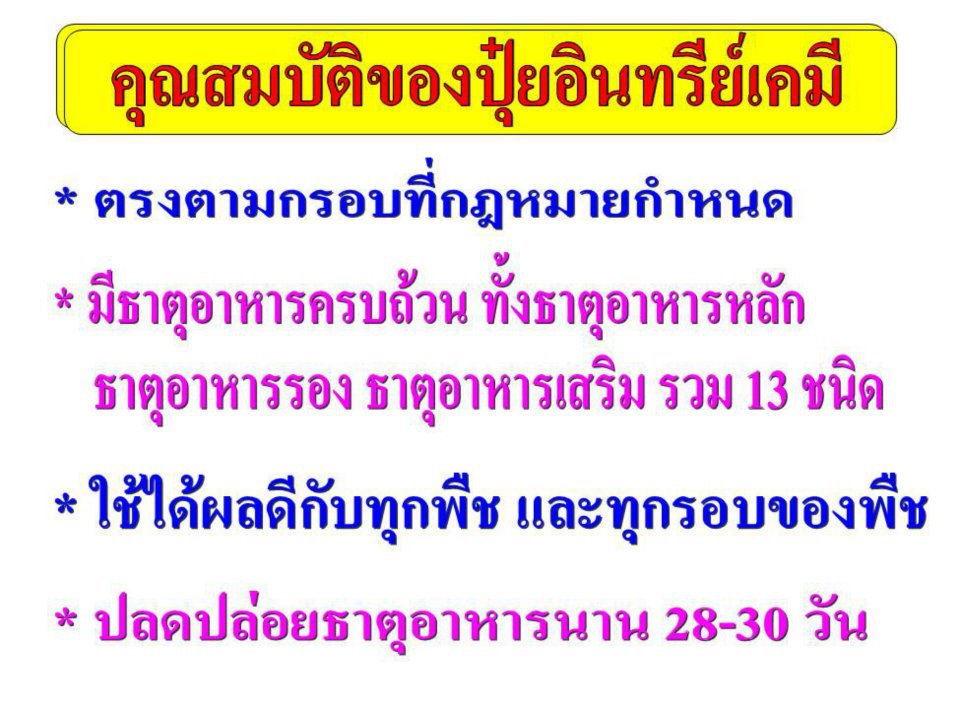 ปุ๋ยอินทริย์ ขี้ค้างคาว รูปที่ 3