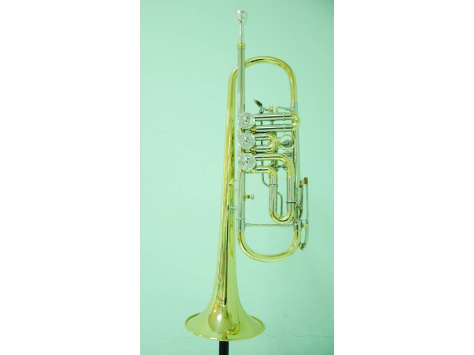 Trumpet รูปที่ 1