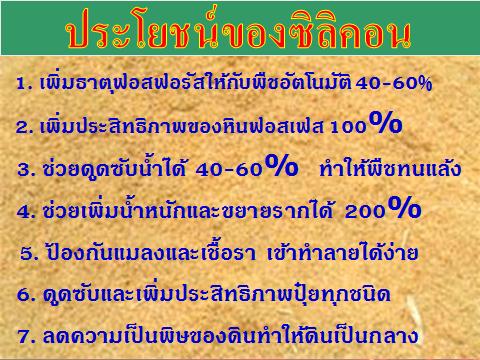 รับสมัครตัวแทนจำหน่ายปุ๋ยอินทรีย์ชีวภาพผสมซิลิคอนคุณภาพสูงและผลิตภัณฑ์ต่างๆอีกมากประจำอำเภอ หรือจังหวัดทั่วประเทศพร้อมเติบโตไปกับรายได้ที่มั่นคงกับบริษัทที่มั่นคง หรือโทรมาคุยกันก่อนได้ครับยินดีต้อนรับทุกท่าน รูปที่ 3