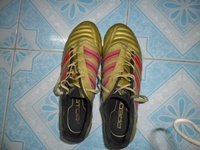 ขาย ADIDAS PREDATOR ADIPOWER DB ระดับรองเท้า TOP ต่อรองได้ครับ ตัว top นะครับ รูปที่ 1