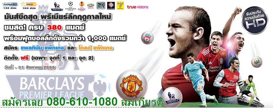 ทรูวิชั่น แพลตตินั่ม truevision Platinum Package 4 จุด รูปที่ 2
