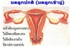 รูปย่อ สารสกัดจากทับทิม มีสารต้านอนุมูลอิสระหลายชนิดที่มีประสิทธิภาพสูงมาก  รูปที่2