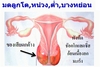 รูปย่อ สารสกัดจากทับทิม มีสารต้านอนุมูลอิสระหลายชนิดที่มีประสิทธิภาพสูงมาก  รูปที่3