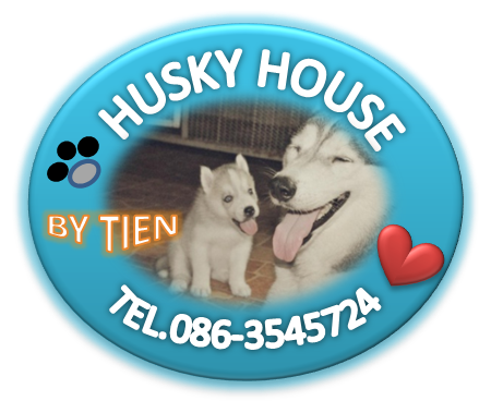 HUSKY HOUSE Pet Shop รูปที่ 1