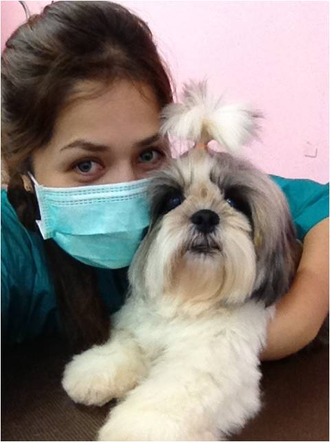 HUSKY HOUSE Pet Shop รูปที่ 2