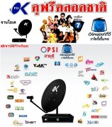 ubcดูฟรี ในจานpsi-ok+true ดูฟรีล้าน% ไม่ต้องจ่ายรายเดือน พลีเมียร์ลีก รูปที่ 3