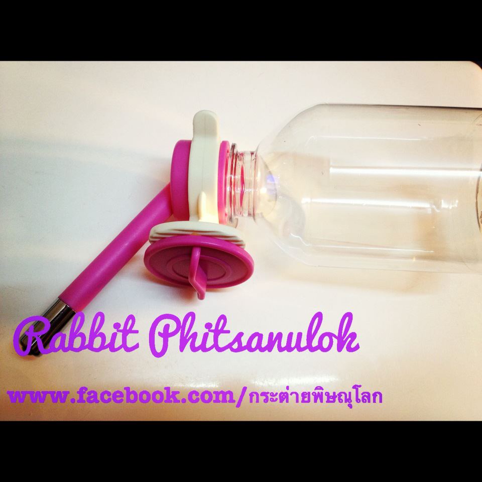 Rabbit Phitsanulok ขายอุปกรณ์ อาหารกระต่ายราคาถูก ส่งทั่วประเทศ รูปที่ 6