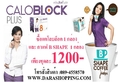 calo block โปรแกรม ลดน้ำหนัก การันตีโดยคุณแหม่ม จินตหรา