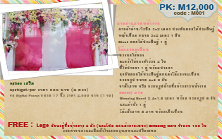 Big Day ให้เช่าอุปกรณ์แต่งงาน รูปที่ 4