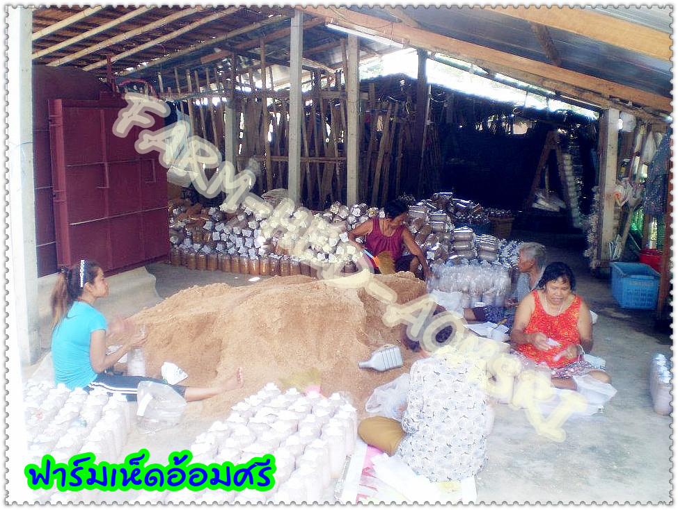 ฟาร์มเห็ดอ้อมศรี จ.ตรัง!!!! รูปที่ 5