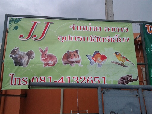 ร้าน JJ จำหน่าย หนู ชูการ์ กระต่าย อุปกรณ์ อาหาร โครงการสวนศรีซีคอน ถ.ศรีนครินทร์ 51 Tel.087-7096972 รูปที่ 6