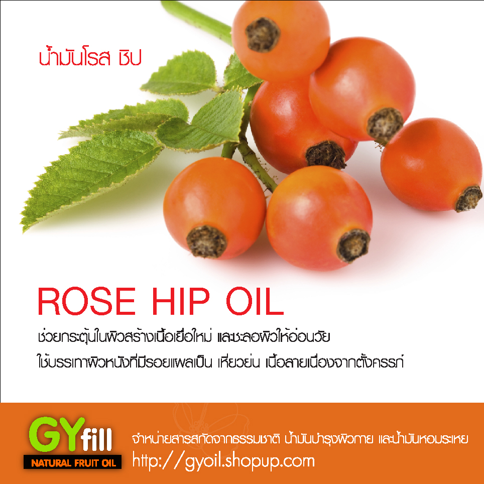 Rose Hip Oil ช่วยกระตุ้นในผิวสร้างเนื้อเยื่อใหม่และชะลอผิวให้อ่อนวัย รูปที่ 1