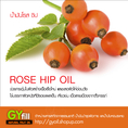 Rose Hip Oil ช่วยกระตุ้นในผิวสร้างเนื้อเยื่อใหม่และชะลอผิวให้อ่อนวัย