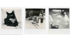รูปย่อ ขายฟิล์ม Polaroid ของ Impossible Project รูปที่2