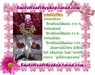 รูปย่อ กลูต้าสโนไวท์ By Fern รูปที่4