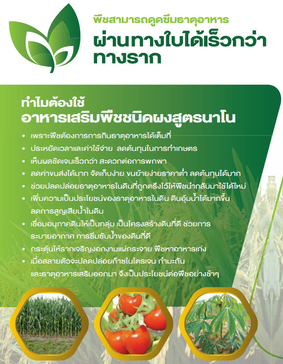 จำหน่าย อาหารเสริมพืชชนิดผงสูตรนาโน สูตรพิเศษเสริมโปรตีนพืช ปลีก-ส่ง รูปที่ 3