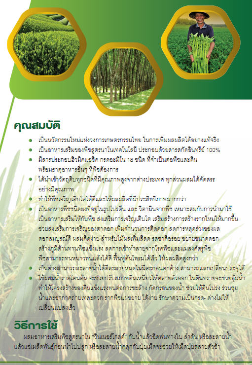 จำหน่าย อาหารเสริมพืชชนิดผงสูตรนาโน สูตรพิเศษเสริมโปรตีนพืช ปลีก-ส่ง รูปที่ 4