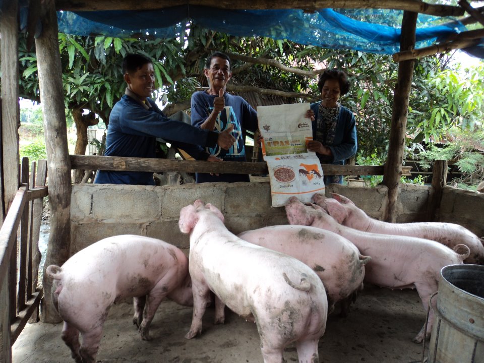 ใครสนใจ วิธีการเลี้ยงหมู 3 เดือน 100 กิโล รูปที่ 3
