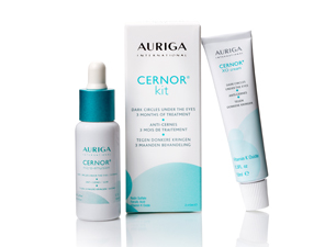 Cernor Kit รูปที่ 2