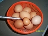 รูปย่อ ขายไก่ไข่ พันธุ์กบินทร์บุรี จ.ปราจีนบุรี รูปที่2