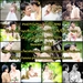 รูปย่อ PHOTOsMAX THAILAND รับถ่ายรูปทุกประเภท งานแต่งงาน Pre-Wedding รับปริญญา ฯลฯ รูปที่2