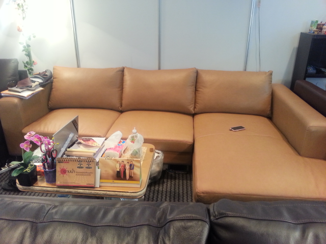 sofa หนังแท้ / โซฟาหนัง pu / โซฟาผ้า  รูปที่ 2