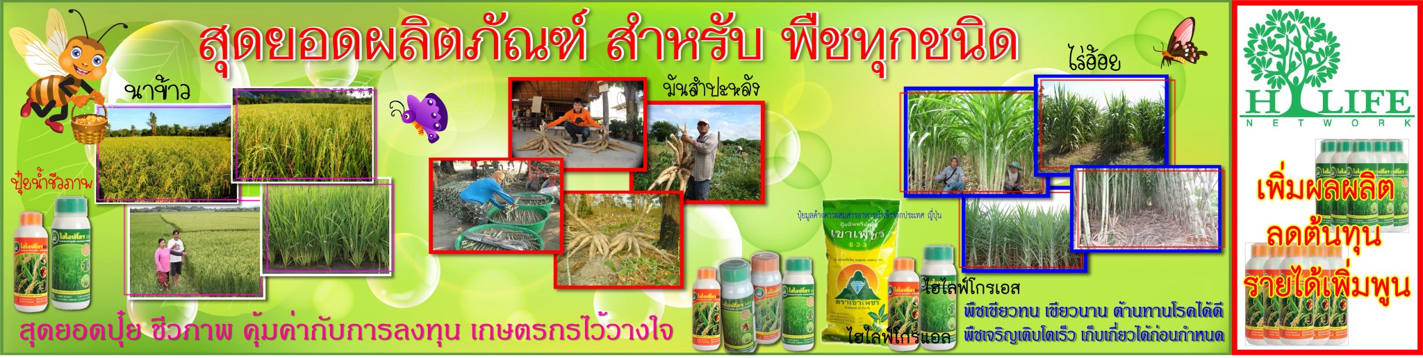 ปุ๋ยมูลค้างคาว ตรา เขาเพชร สูตร 6-3-3 รูปที่ 3