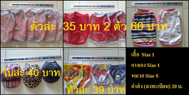 เสื้อผ้าสุนัข แมว ราคาถูก จำนวกจำกัด หมดแล้วหมดเลย รูปที่ 1