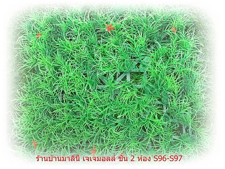 จำหน่ายหญ้าเทียม รูปที่ 4