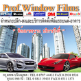 Prof.Window Films