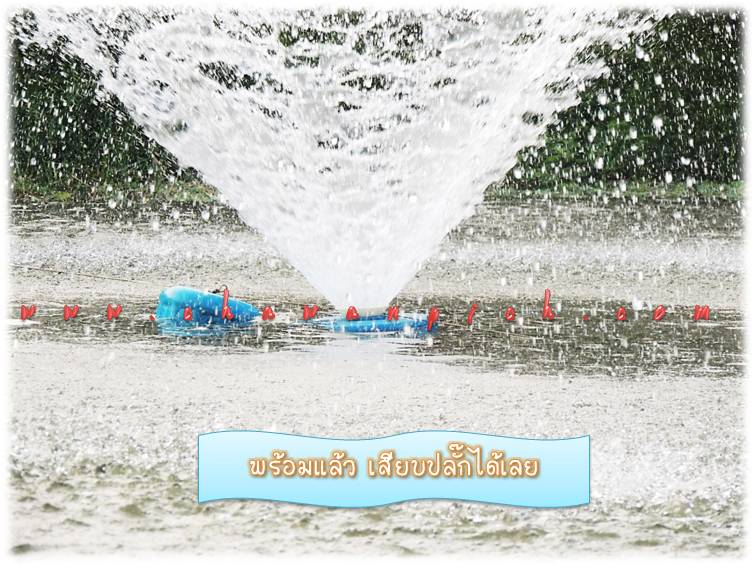 น้ำพุทุ่นลอย สำเร็จรูป รูปที่ 5