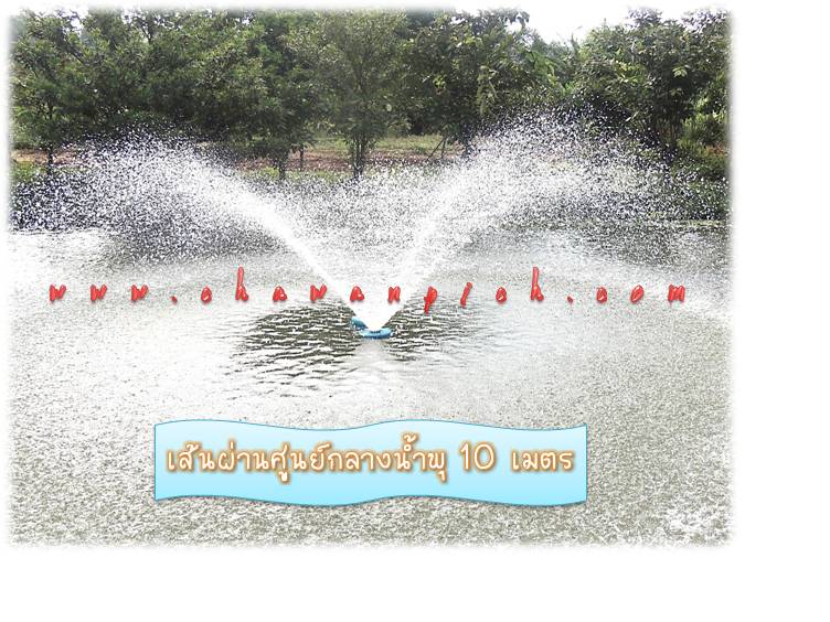 น้ำพุทุ่นลอย สำเร็จรูป รูปที่ 6