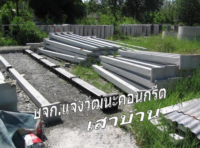 เสาบ้าน(มีตีน) รูปที่ 1