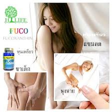 FUCO-ฟูโก้ (พุงหาย แขนลด ขาเล็ก)+กาแฟ Hycafe  รูปที่ 4