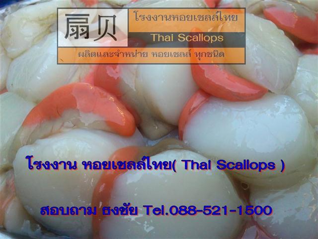 หอยเชลล์  ผลิตพร้อมจำหน่าย อาหารทะเลราคาถูก( Raw Scallop Meat) รูปที่ 1
