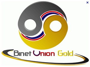 Binet Union Gold ธุรกิจเครือข่าย สร้างรายได้หลักแสนต่อเดือน ภายใน 1-2 ปี รูปที่ 1