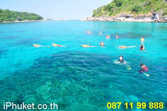 บริการทัวร์ภูเก็ต รูปที่ 7