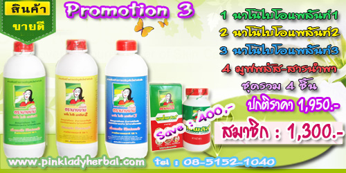 นาโนไบโอแพล้นท์กับซุปเปอร์นาโนไบโอแพล้นท์ 1 2 3 4 ด้วยการเพิ่มสารบำรุงพืชเข้มข้น ตรานางงามมิทเชลล์ Nanobioplant  รูปที่ 4