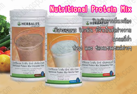 เฮอร์บาไลฟ์ นิวทริชันแนล โปรตีน มิกซ์ (Nutritional Protein Mix) รูปที่ 1