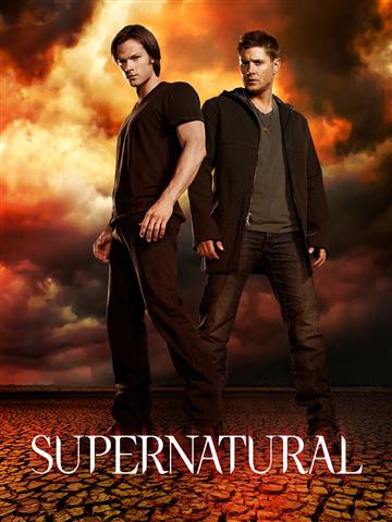 จำหน่าย DVD ซีรี่ย์ฝรั่งมาใหม่ แผ่นละ 20 บาท คุณภาพมาสเตอร์ 10 แผ่น แถม 3 แผ่น   รูปที่ 6
