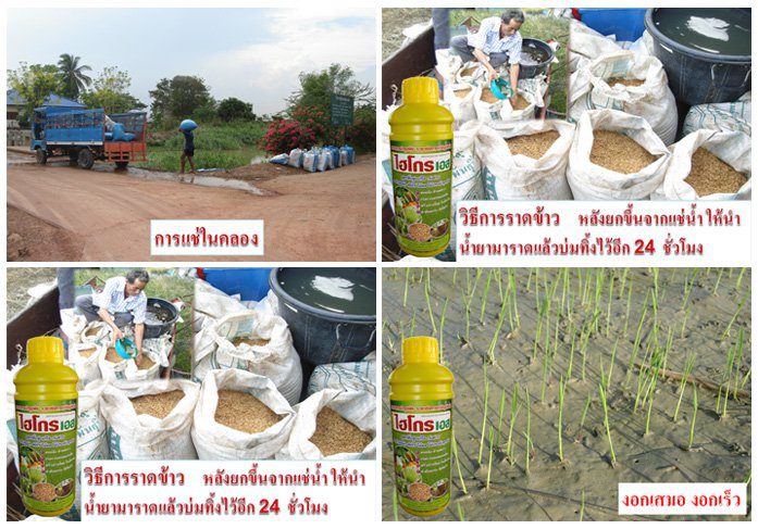 นวัตกรรมใหม่ล่าสุดของไฮไลฟ์โกร ที่ตอบทุกปัญหาของเกษตรกร รูปที่ 6